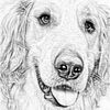 steve_callender